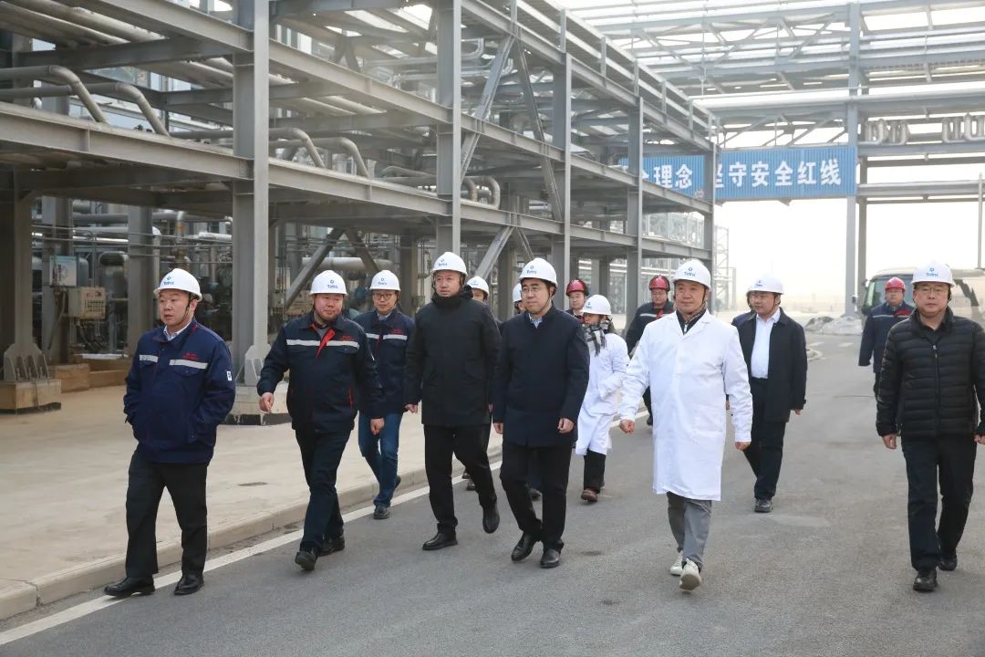 El Director Zhu Shengyong del Comité de Gestión DE LA Zona de Desarrollo Económico del Puerto de Dongying, fue a la Base de Producción de Shandong de Tetra para la investigación